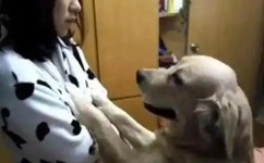 女人自熨全过程直播